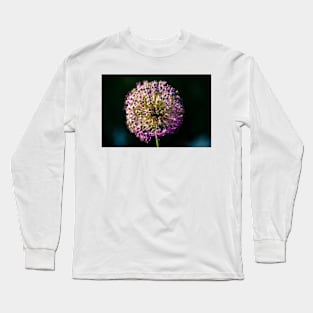 Allium Flower Close-up 7 Long Sleeve T-Shirt